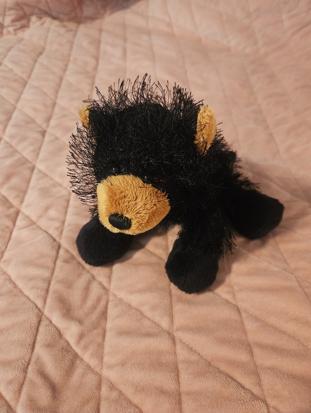 Webkinz Black Bear Plush No Code - Picture 3 of 3